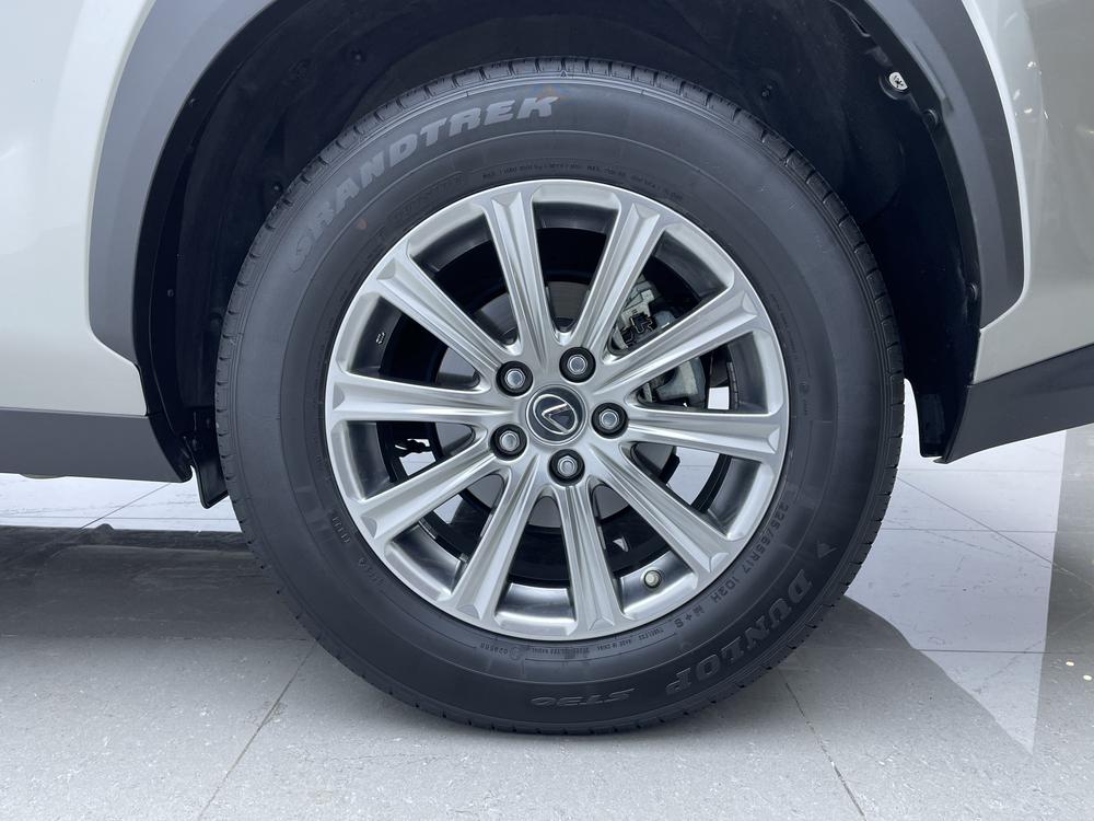 Lexus Lexus NX