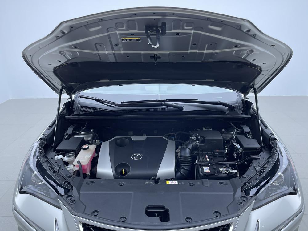 Lexus Lexus NX