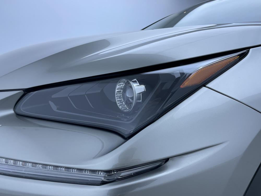 Lexus Lexus NX