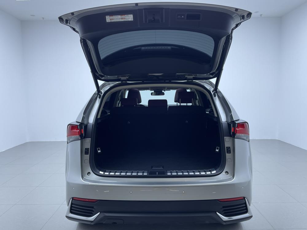 Lexus Lexus NX