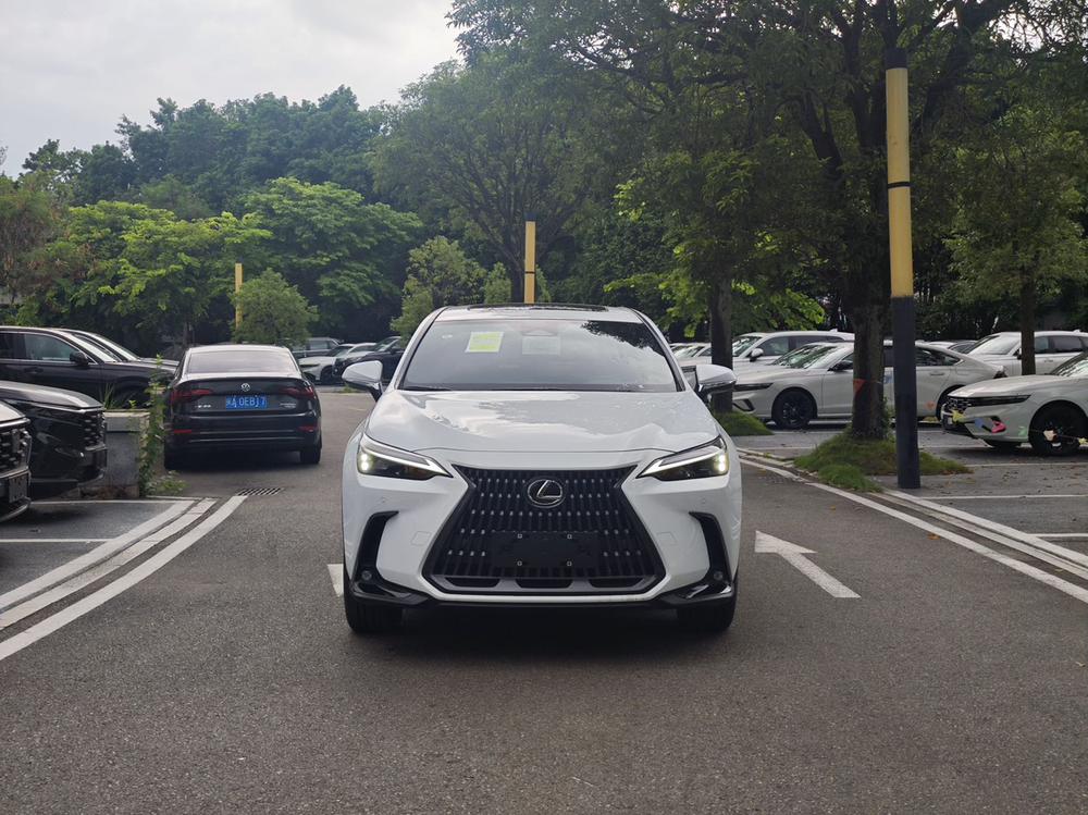 Lexus Lexus NX