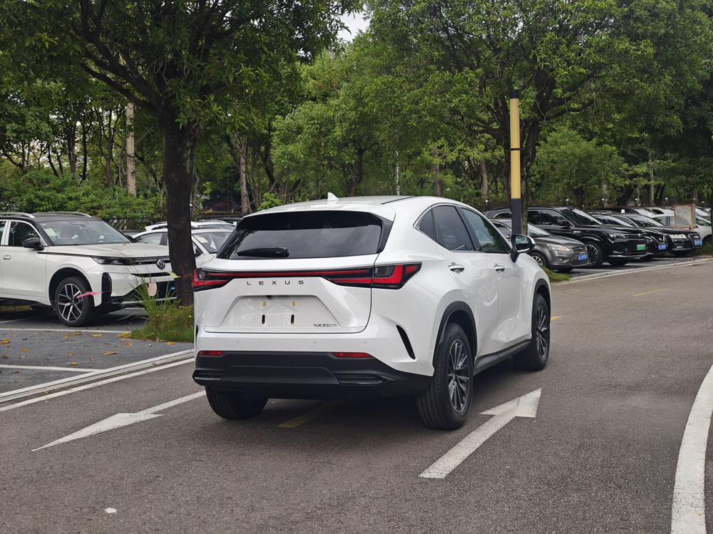 Lexus Lexus NX