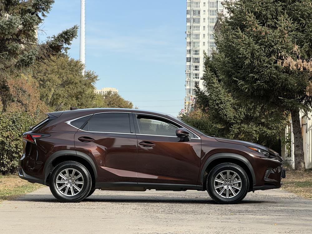 Lexus Lexus NX