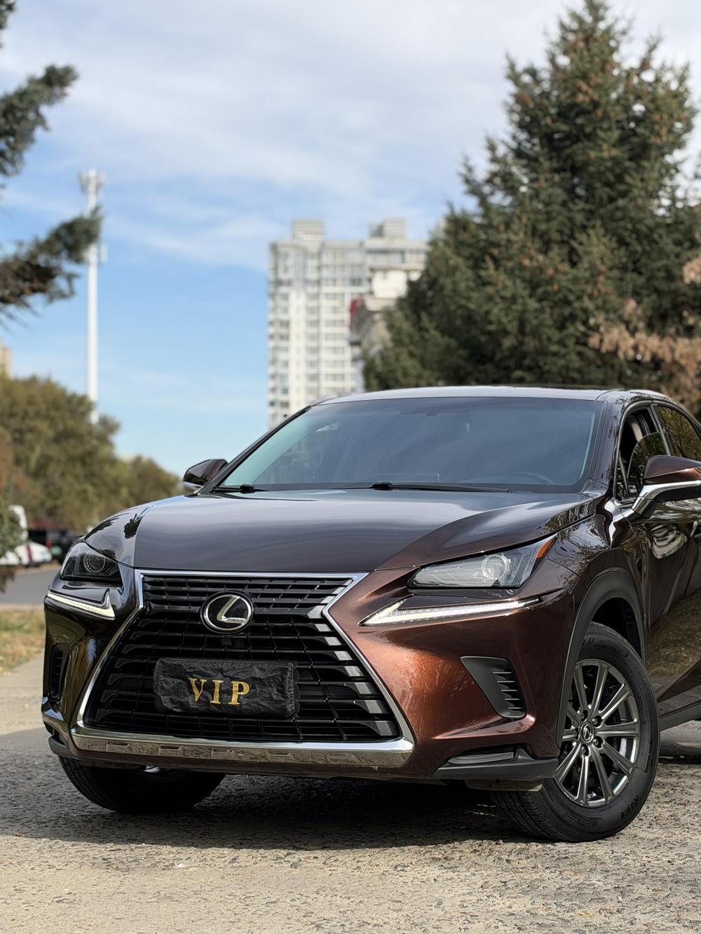 Lexus Lexus NX