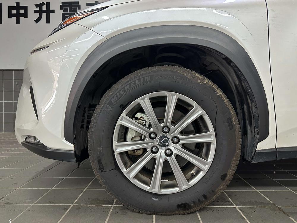 Lexus Lexus NX