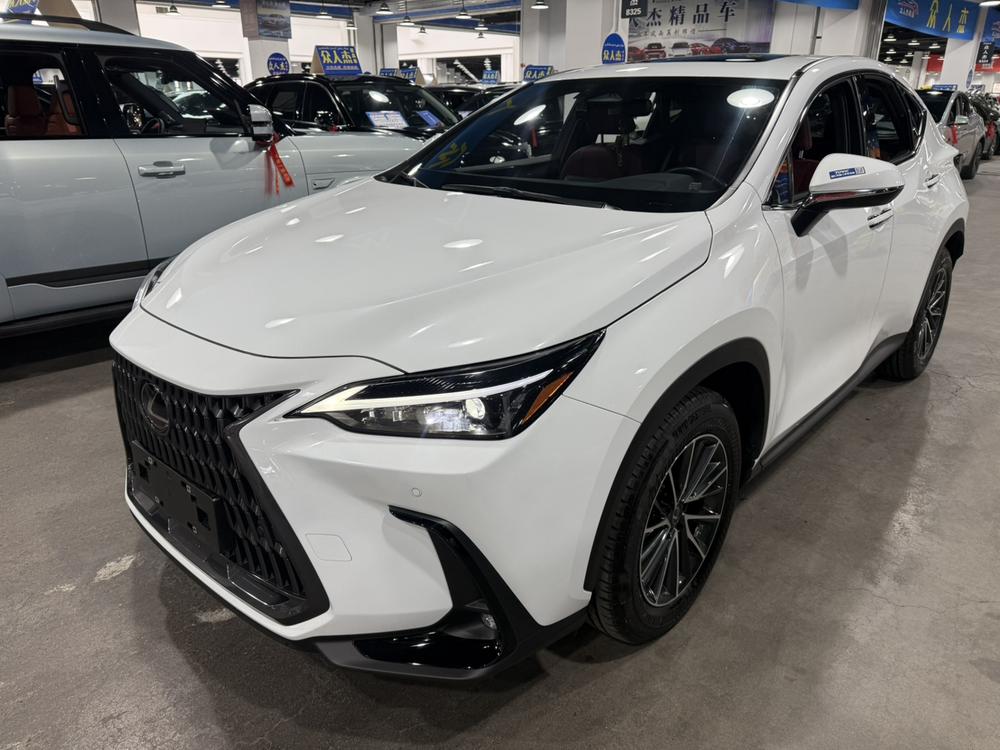Lexus Lexus NX