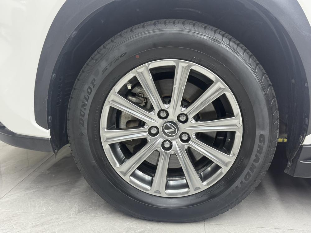 Lexus Lexus NX