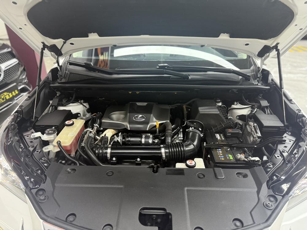 Lexus Lexus NX