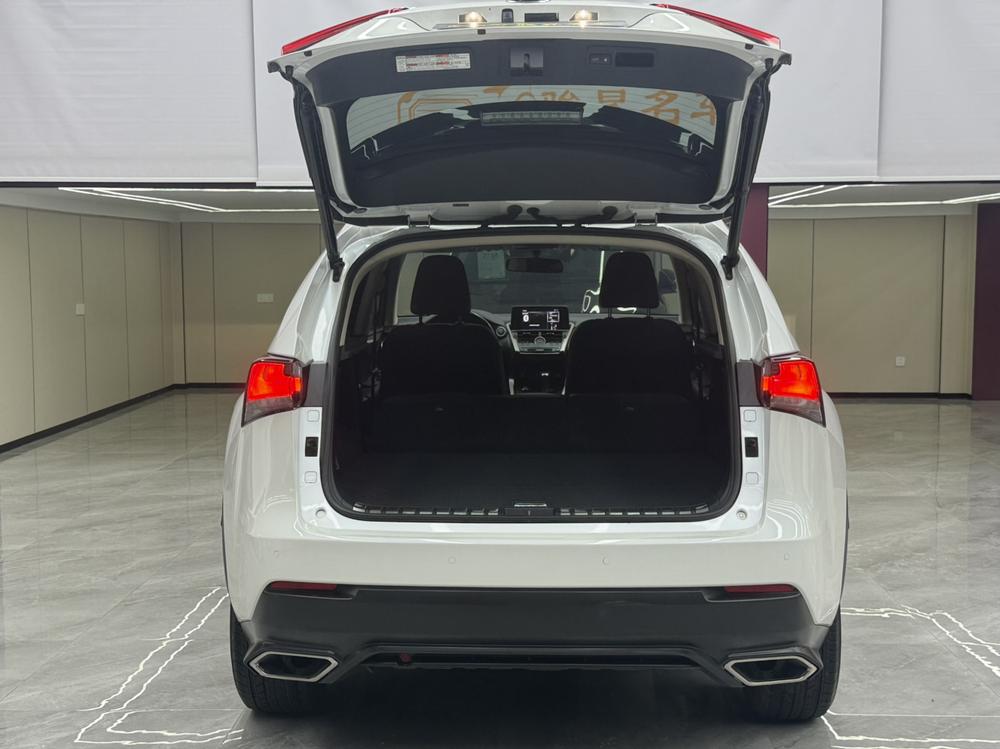 Lexus Lexus NX
