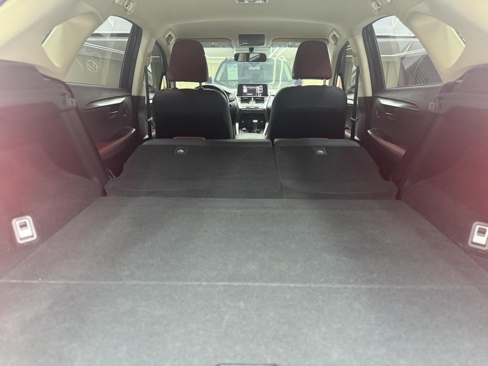 Lexus Lexus NX