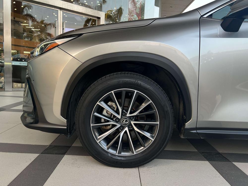 Lexus Lexus NX