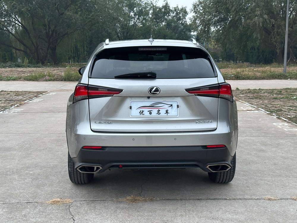 Lexus Lexus NX