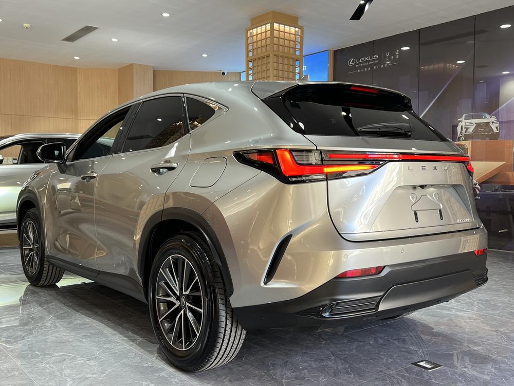 Lexus Lexus NX