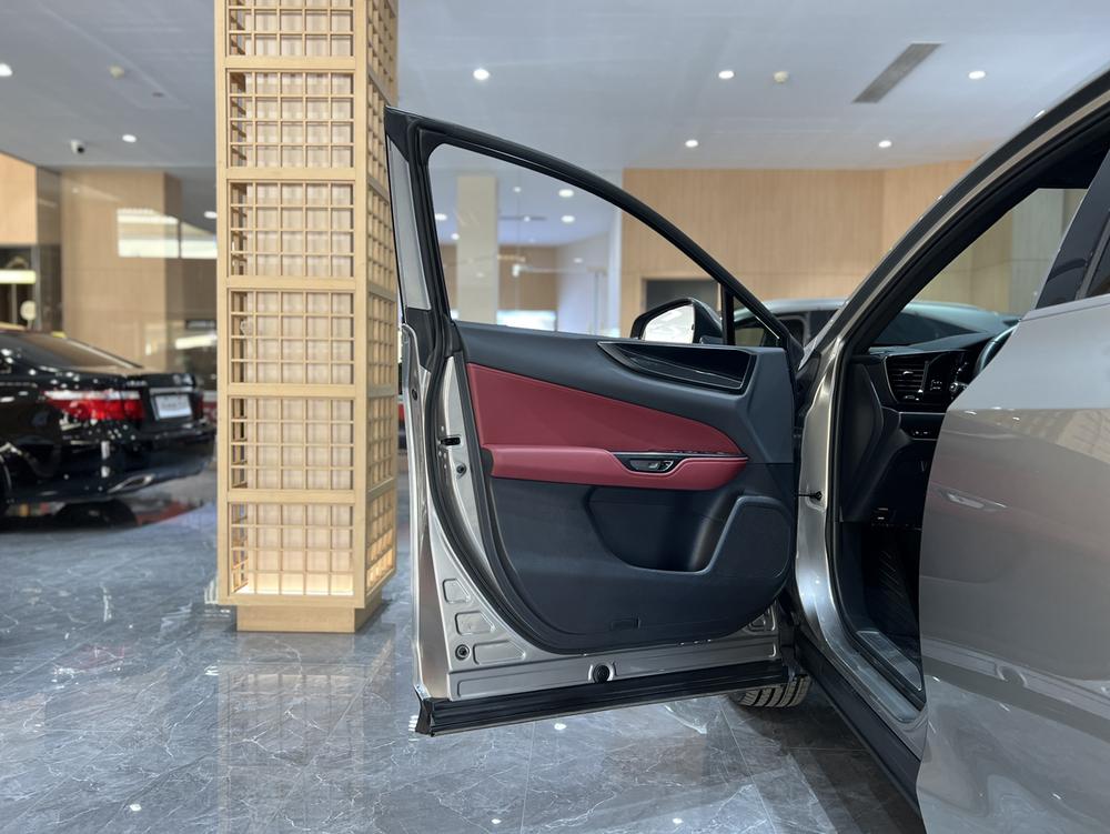 Lexus Lexus NX
