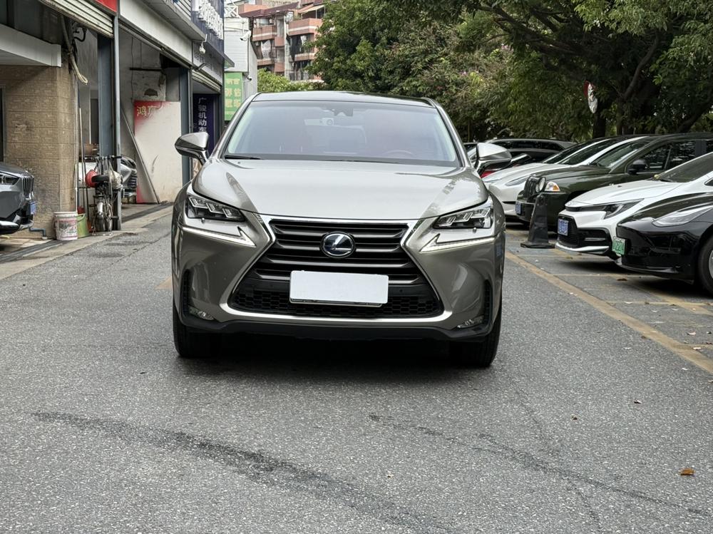 Lexus Lexus NX