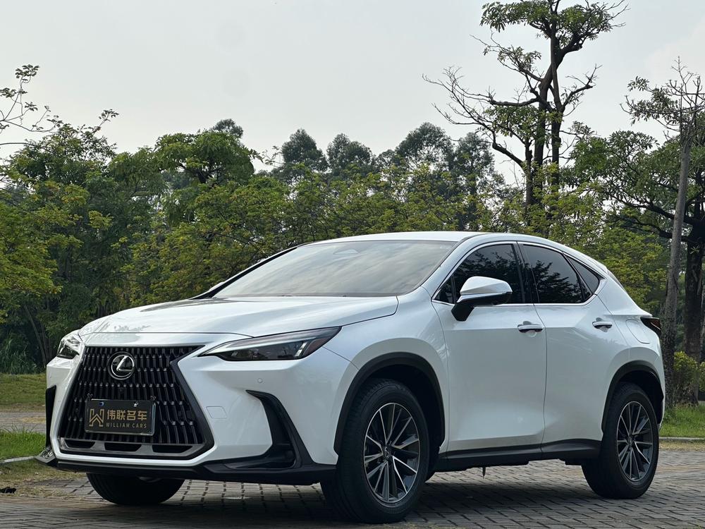 Lexus Lexus NX