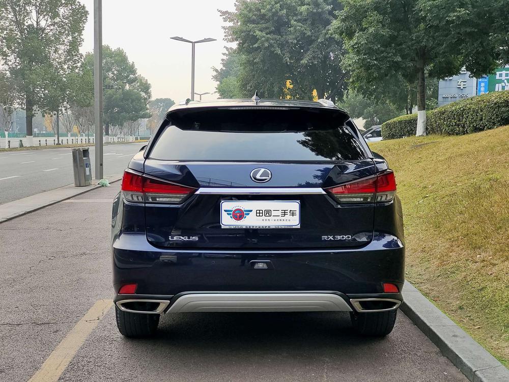 Lexus Lexus RX