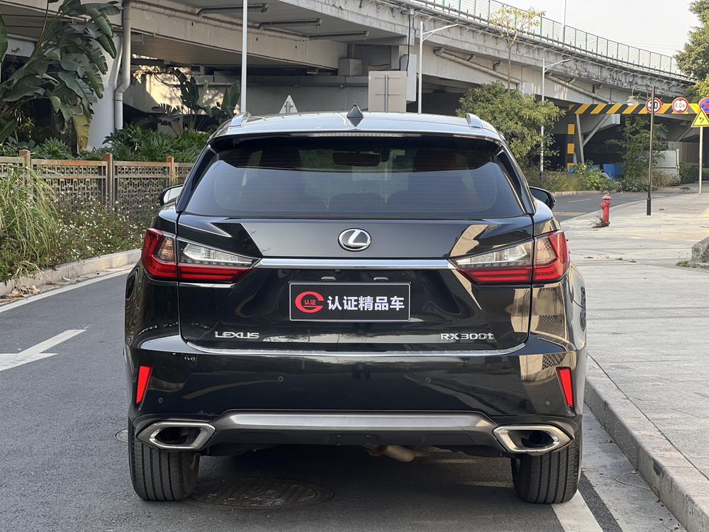 Lexus Lexus RX