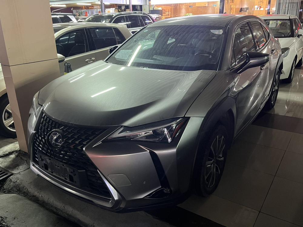Lexus Lexus UX EV