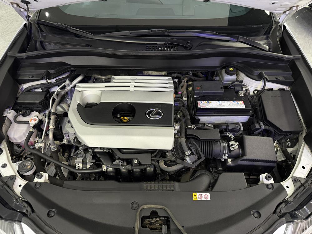 Lexus Lexus UX