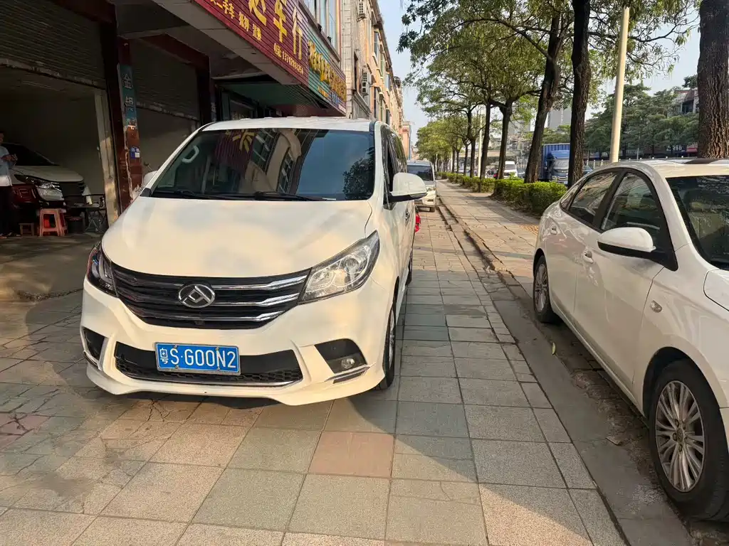MAXUS G10