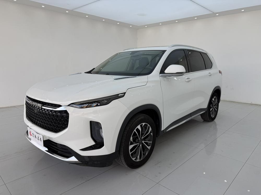 Maxus Maxus D60