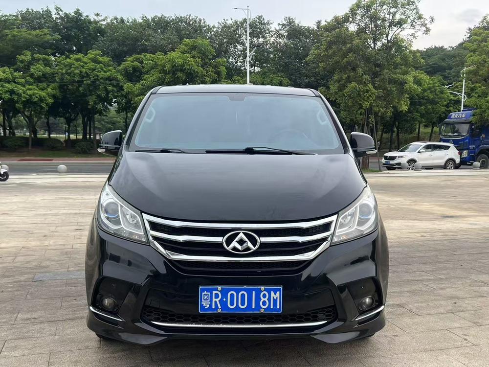 Maxus Maxus G10