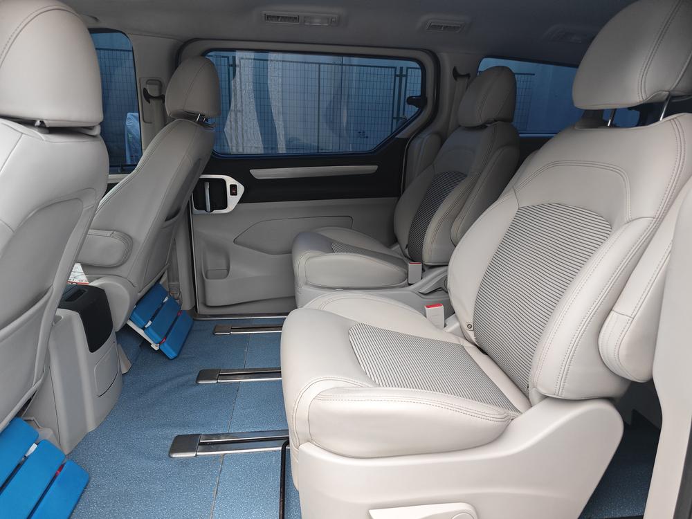 Maxus Maxus G10