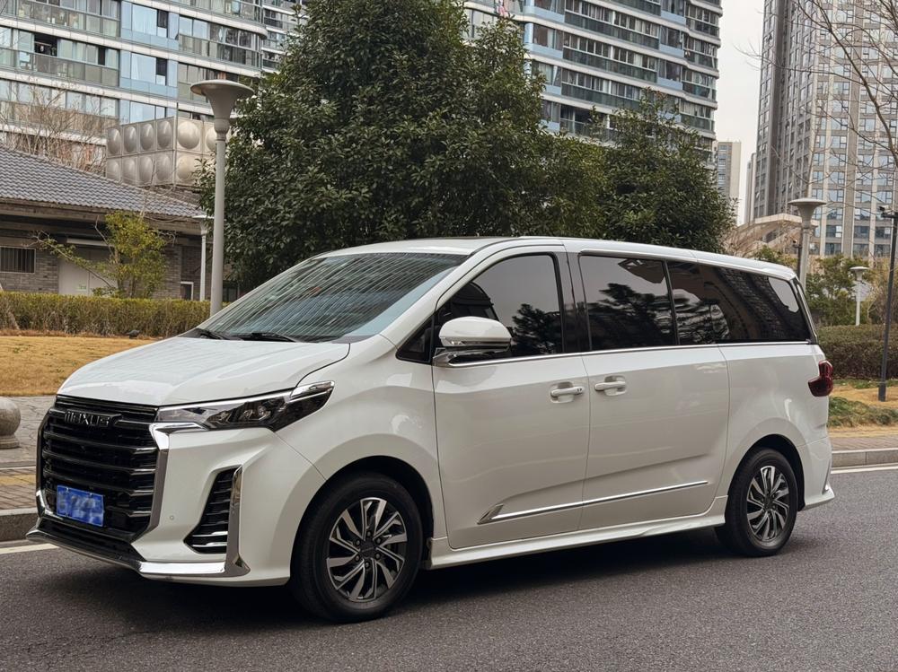 Maxus Maxus G20