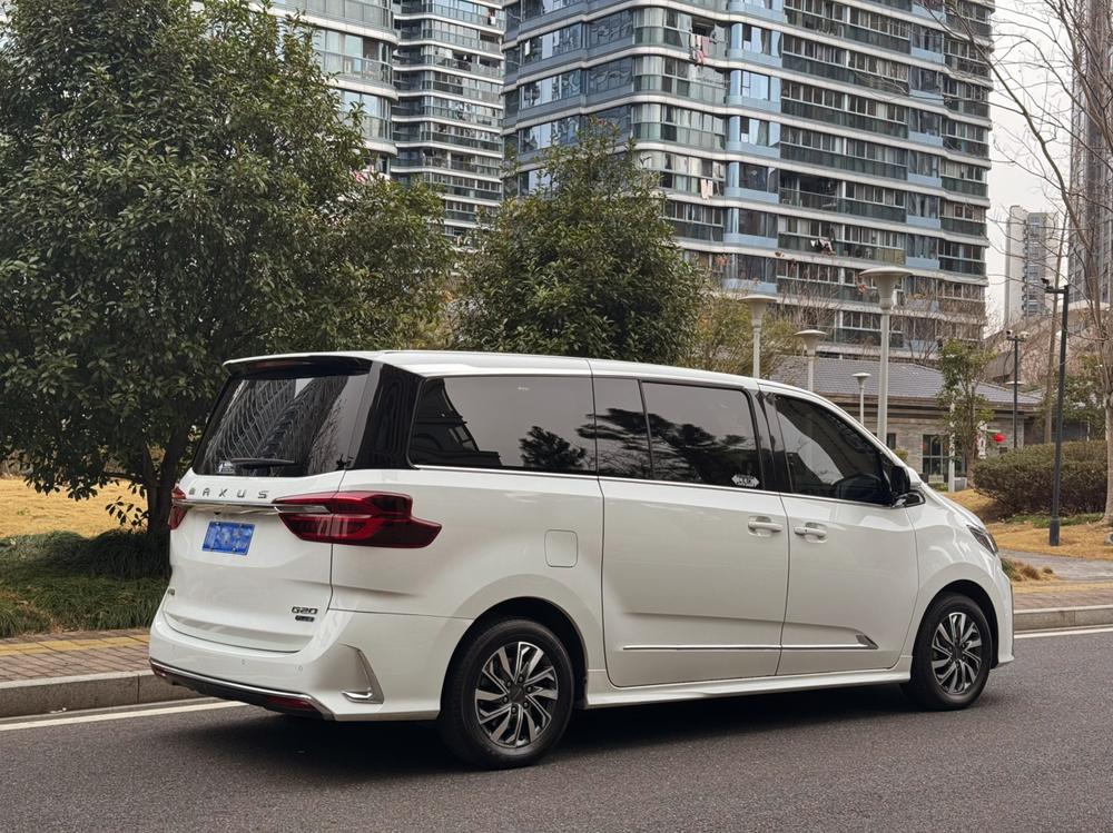 Maxus Maxus G20