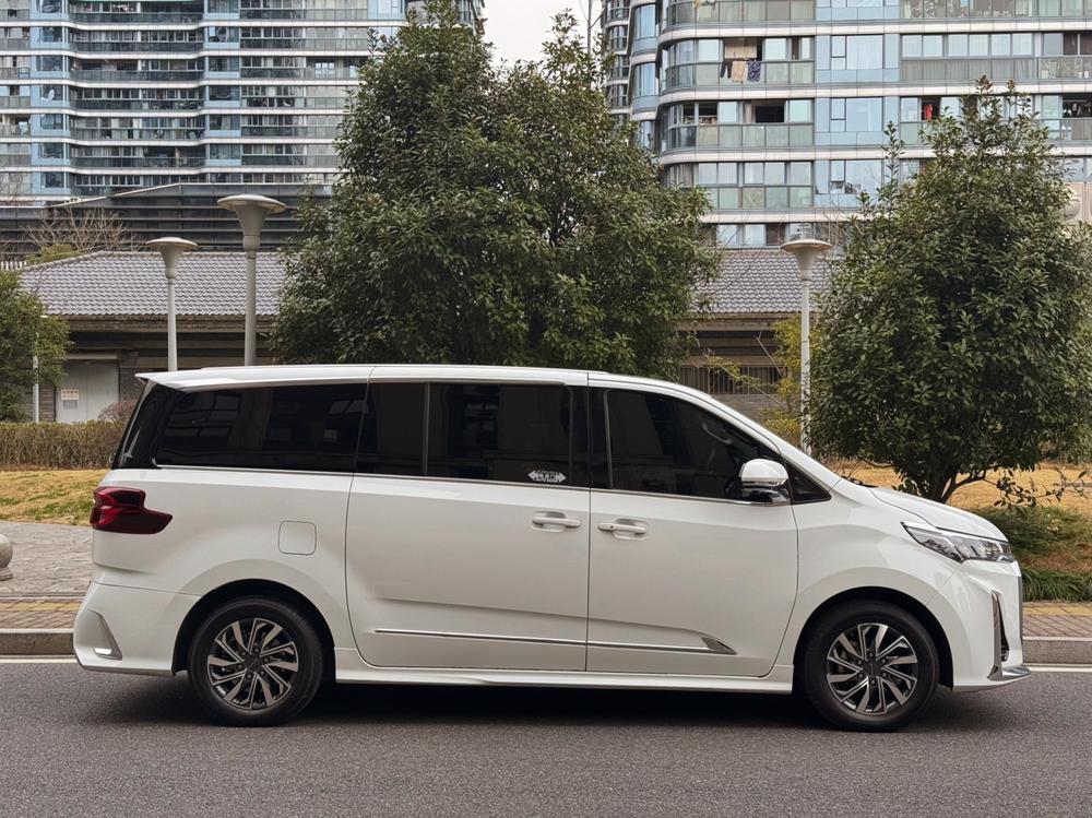 Maxus Maxus G20