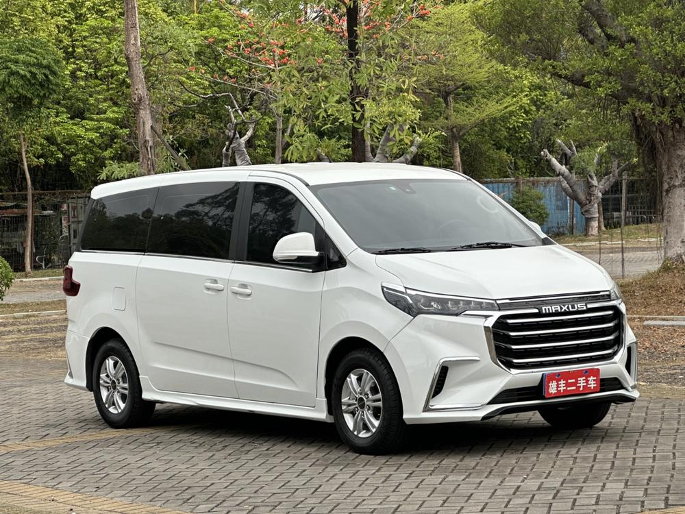 Maxus Maxus G20