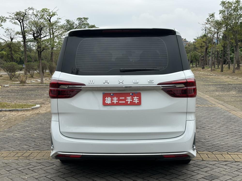 Maxus Maxus G20