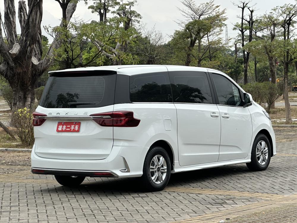 Maxus Maxus G20