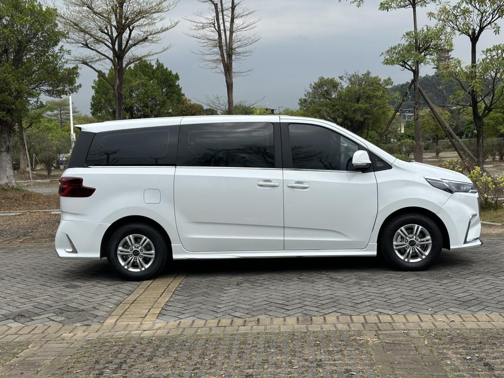 Maxus Maxus G20
