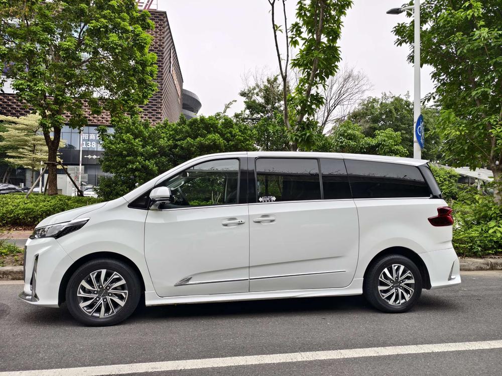 Maxus Maxus G20