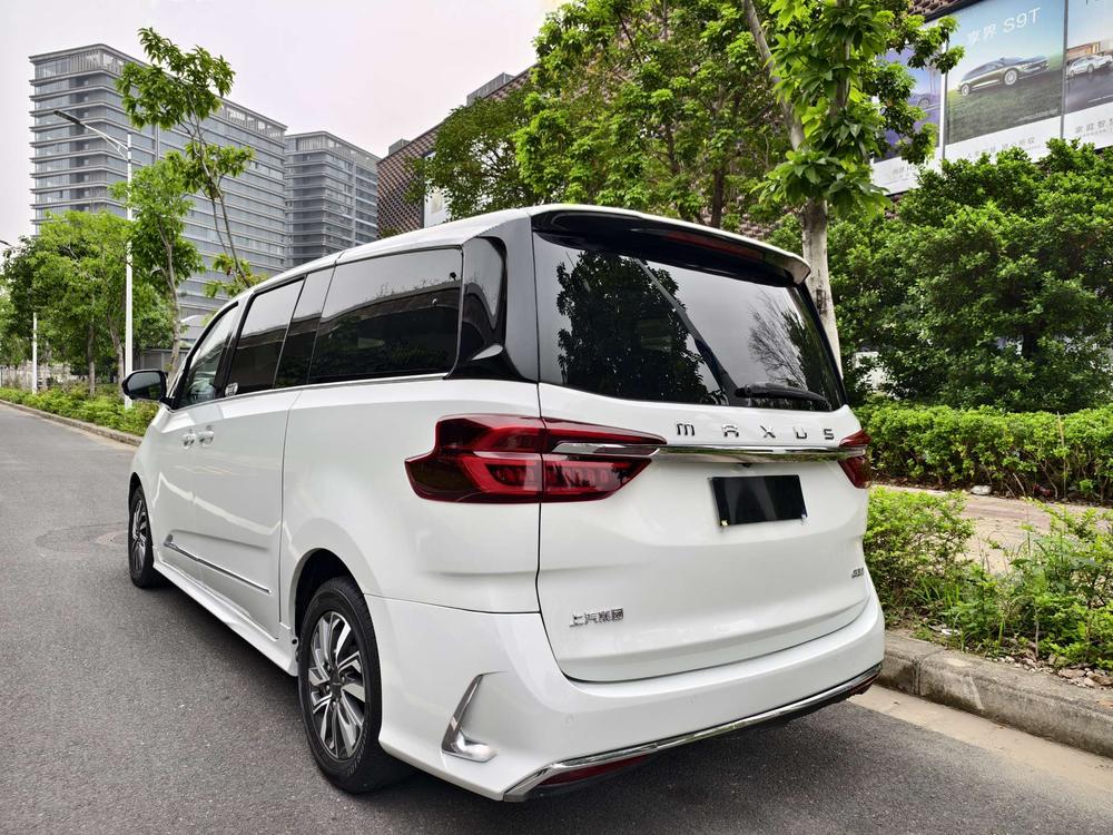 Maxus Maxus G20