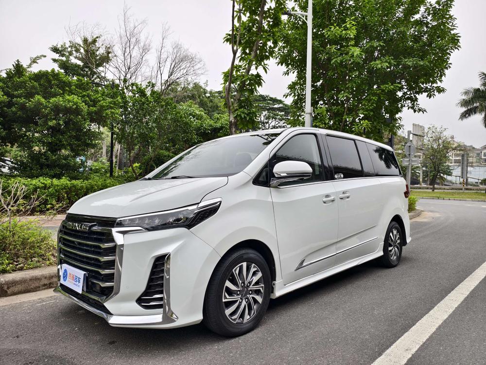 Maxus Maxus G20