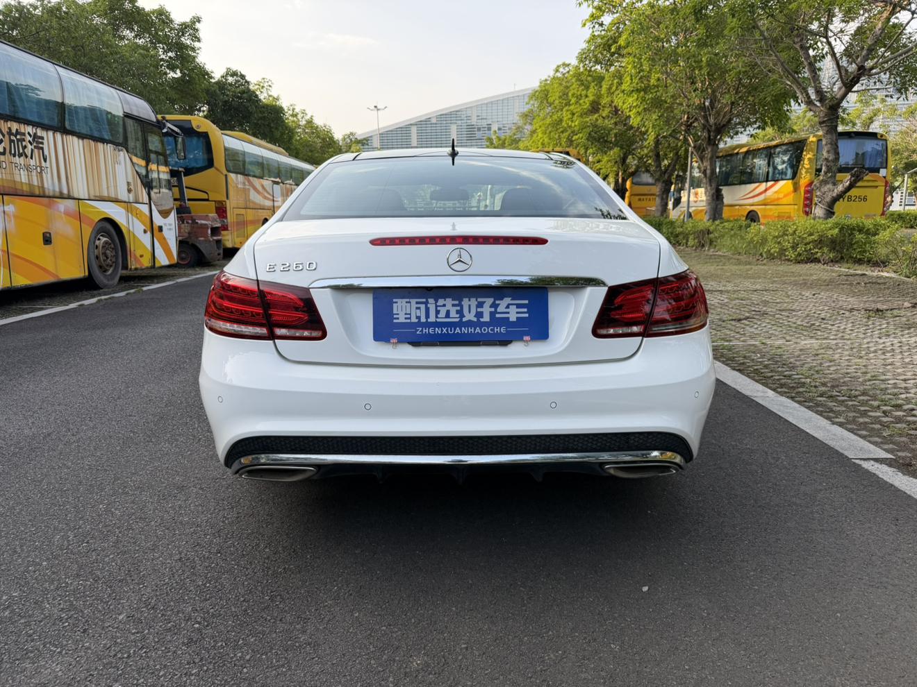 Mercedes-Benz Mercedes-Benz E-Class (Import)