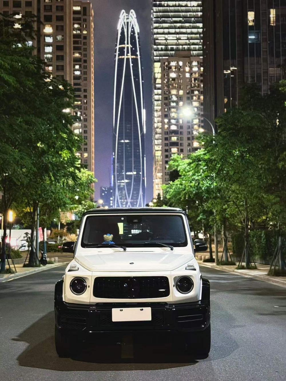 Mercedes-Benz Mercedes-Benz G-Class