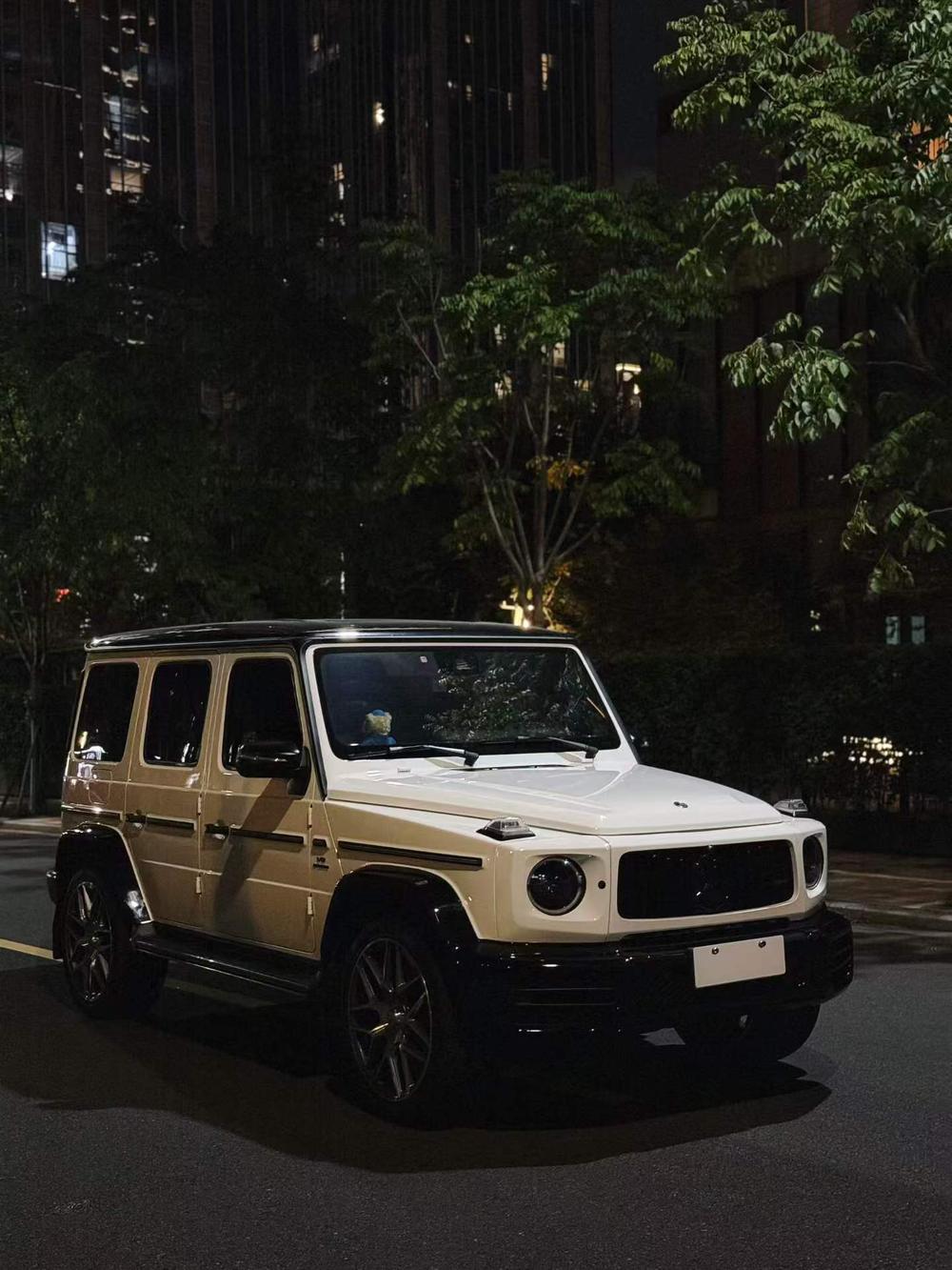 Mercedes-Benz Mercedes-Benz G-Class