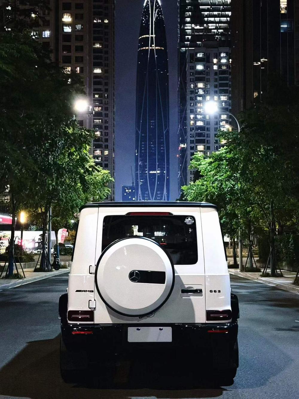 Mercedes-Benz Mercedes-Benz G-Class