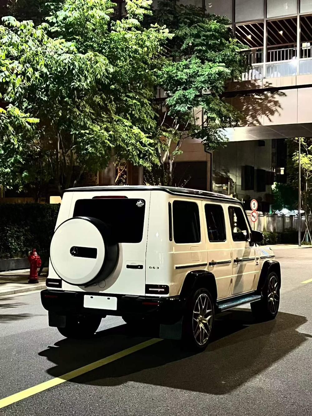 Mercedes-Benz Mercedes-Benz G-Class
