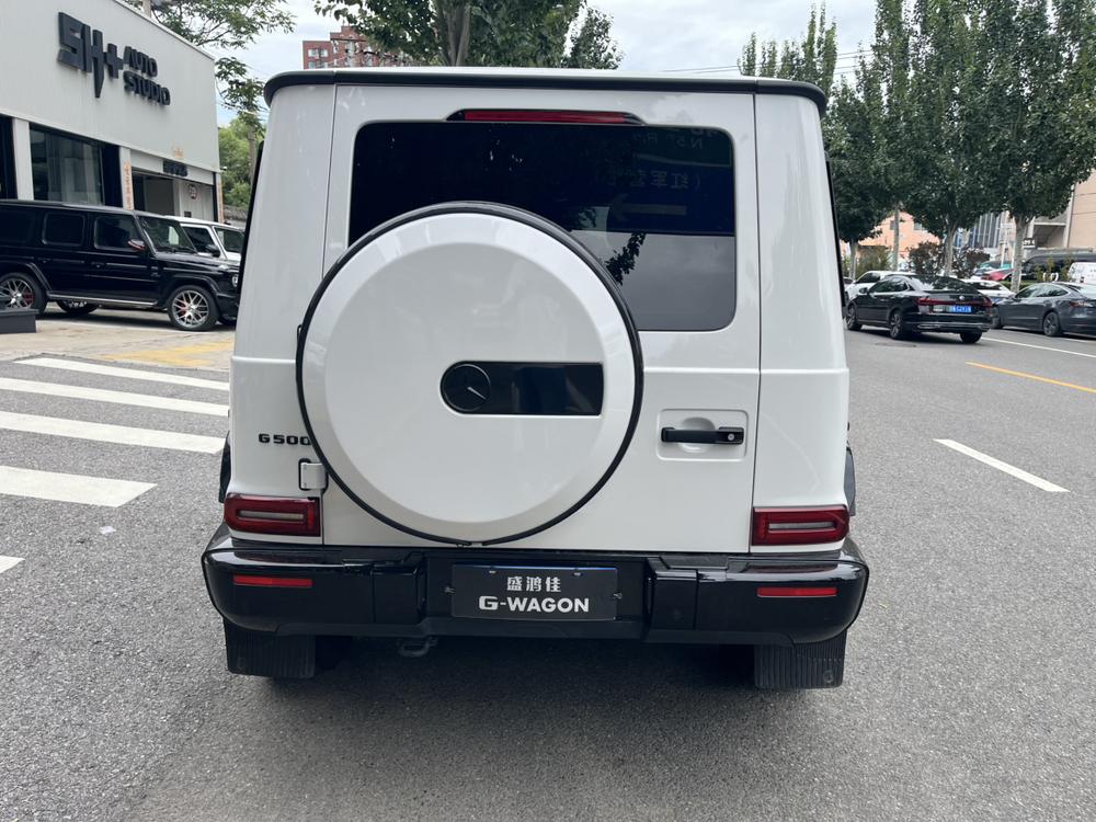 Mercedes-Benz Mercedes-Benz G-Class