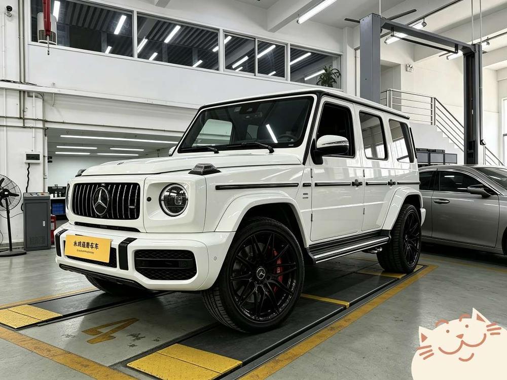 Mercedes-Benz Mercedes-Benz G-Class