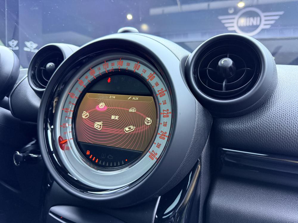 MINI MINI PACEMAN