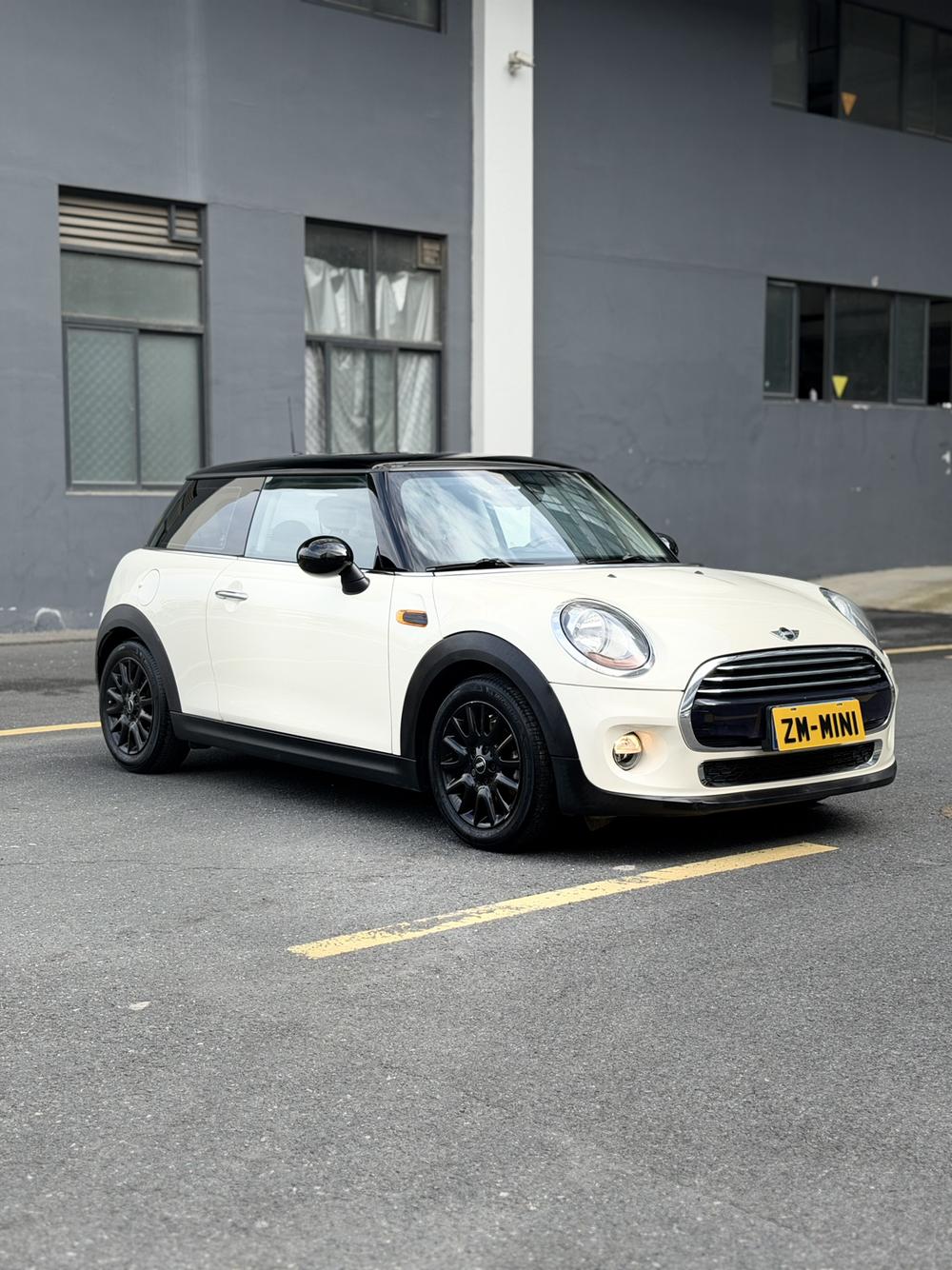 MINI MINI