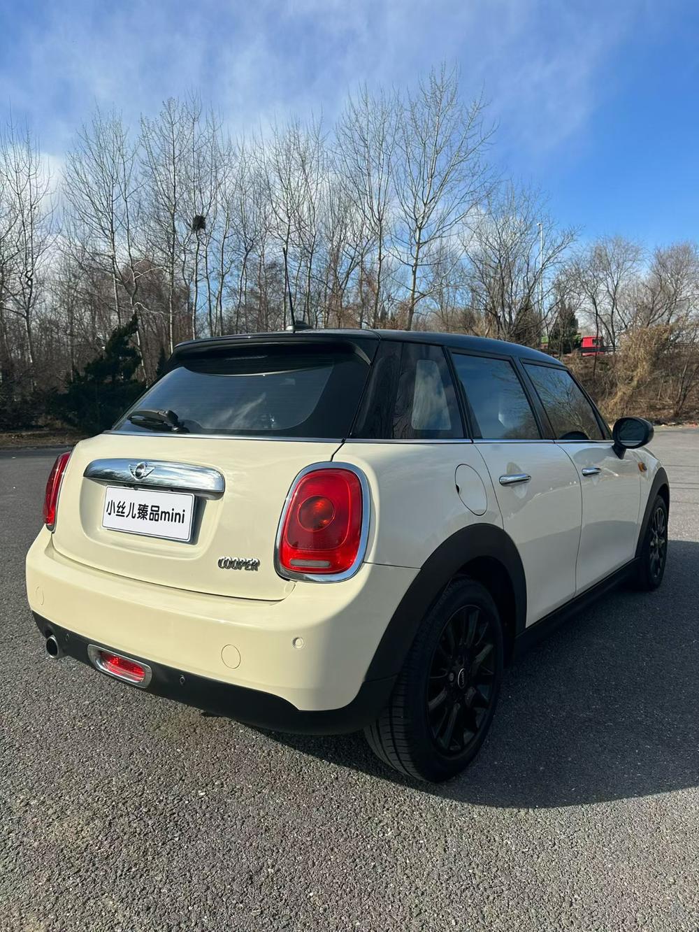 MINI MINI