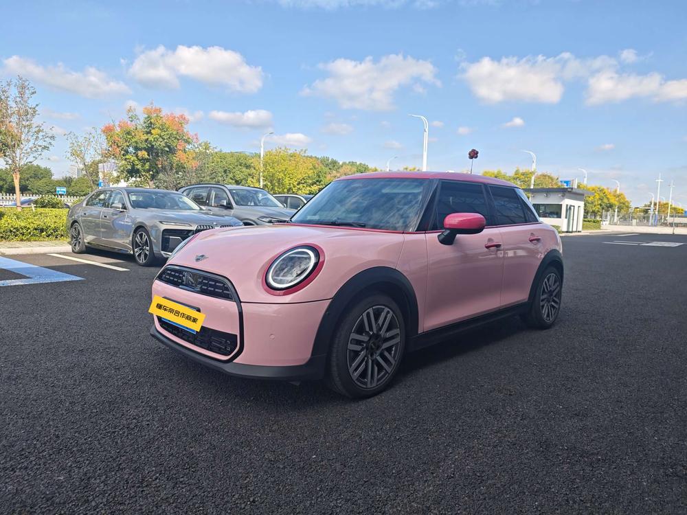 MINI MINI