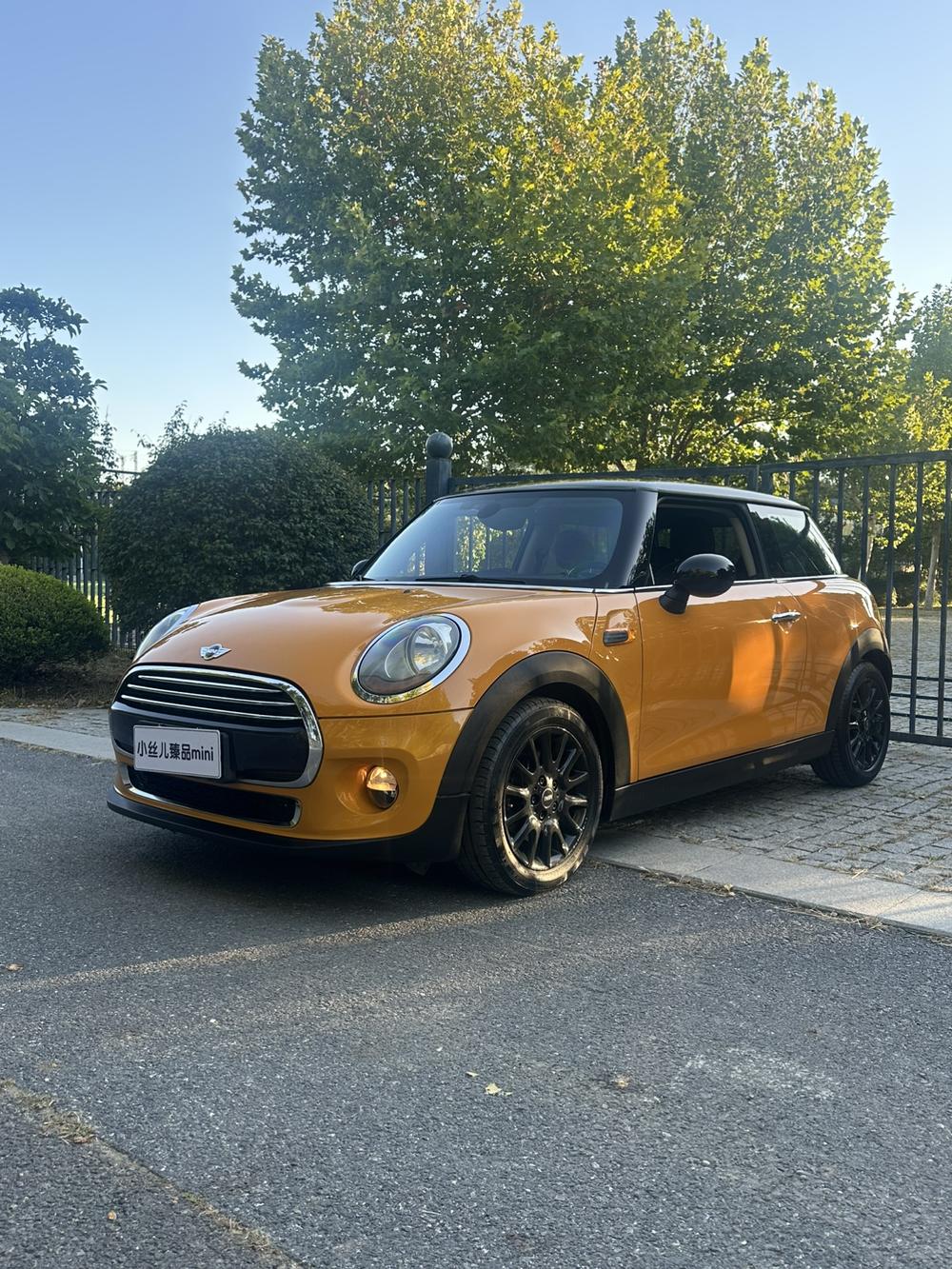 MINI MINI